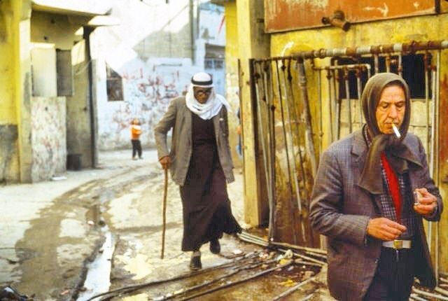بيروت ١٩٨٣ ، Beirut 1983