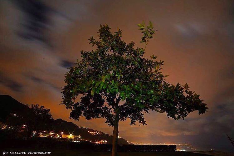 بيني وبينك ياهالّليل...  night  tree  lonely  sky  clouds  mountains ... (Ghazir, Mont-Liban, Lebanon)