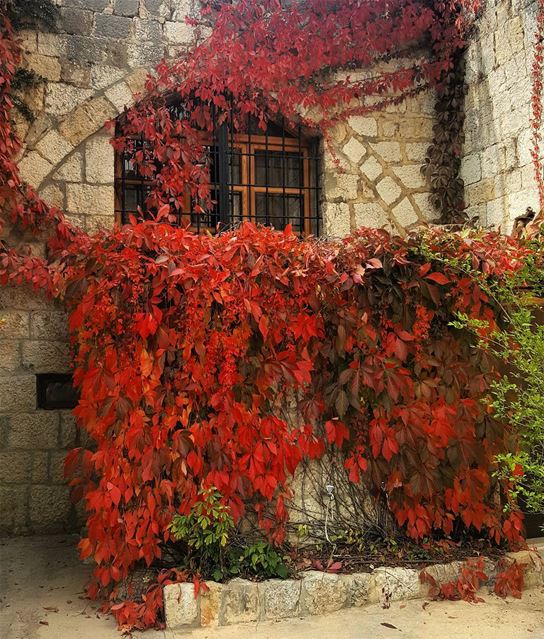  تصويري  تأمل  المتين  جبل_لبنان  آثار  بيوت_قديمة  لبنان  جمال  my_lens ... (Mount Lebanon)