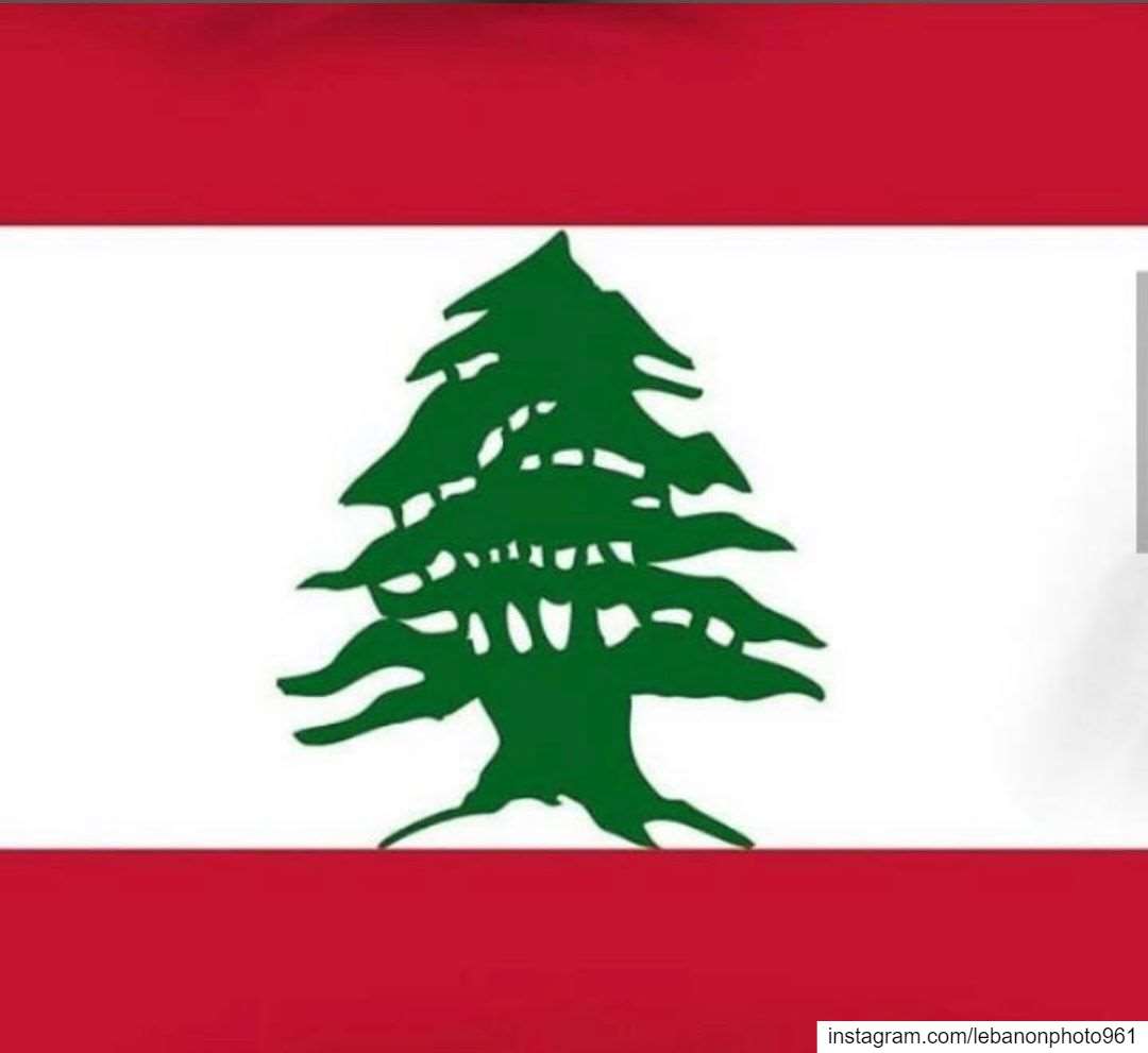  ثورة  لبنان  lebanon  revolution  revolution🇱🇧