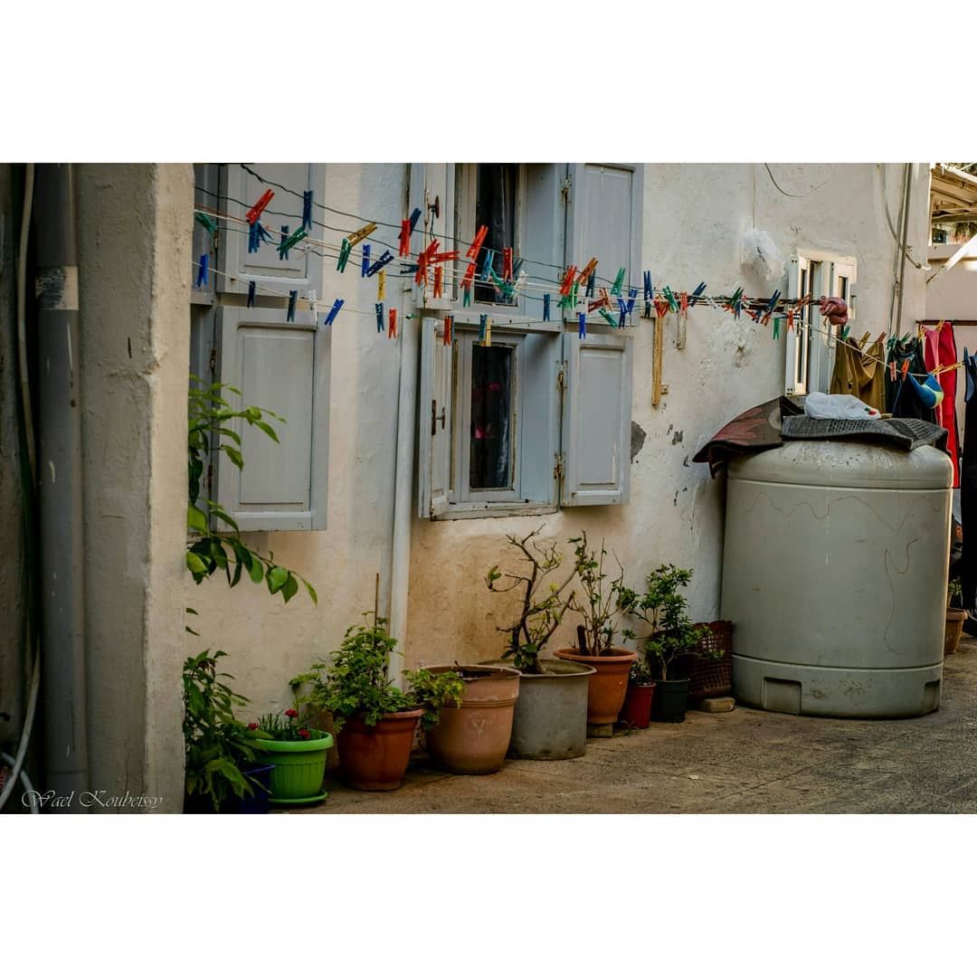 زواريب صور  urban  alley  window  laundry  urbex  street  tyre  plants ... (Tyre, Lebanon)