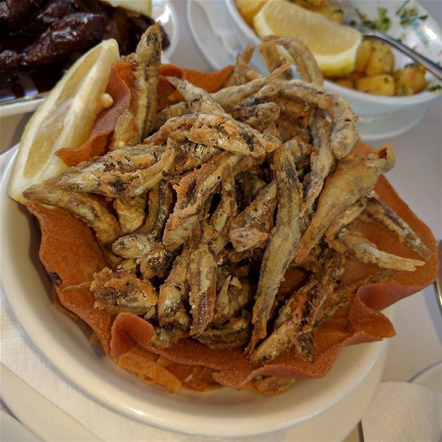  سردين  sardeen   fish   food  instafood   lebanon  lebanese ... (Amchit Mhanna)