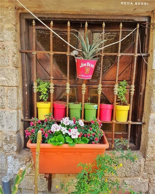 شباك حبيبي 🌹🌼🌸🌻🌺💮 goodmorning  flowers  window  summer  colorful ... (Tyre, Lebanon)
