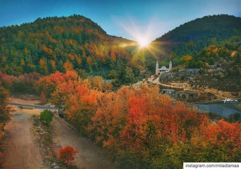 "شوف" الألوان..(نهر الحمام - الشوف) ..Autumn has come.. 🍂🍁 autumn🍂 ... (نهر الحمام)