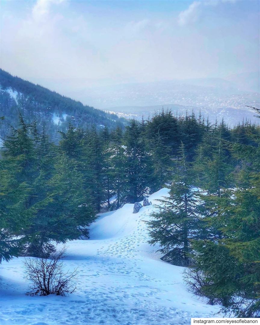 صباح الخير من الباروك 😍Credits to @fadilov・・・Kindness is like snow it... (Bâroûk, Mont-Liban, Lebanon)