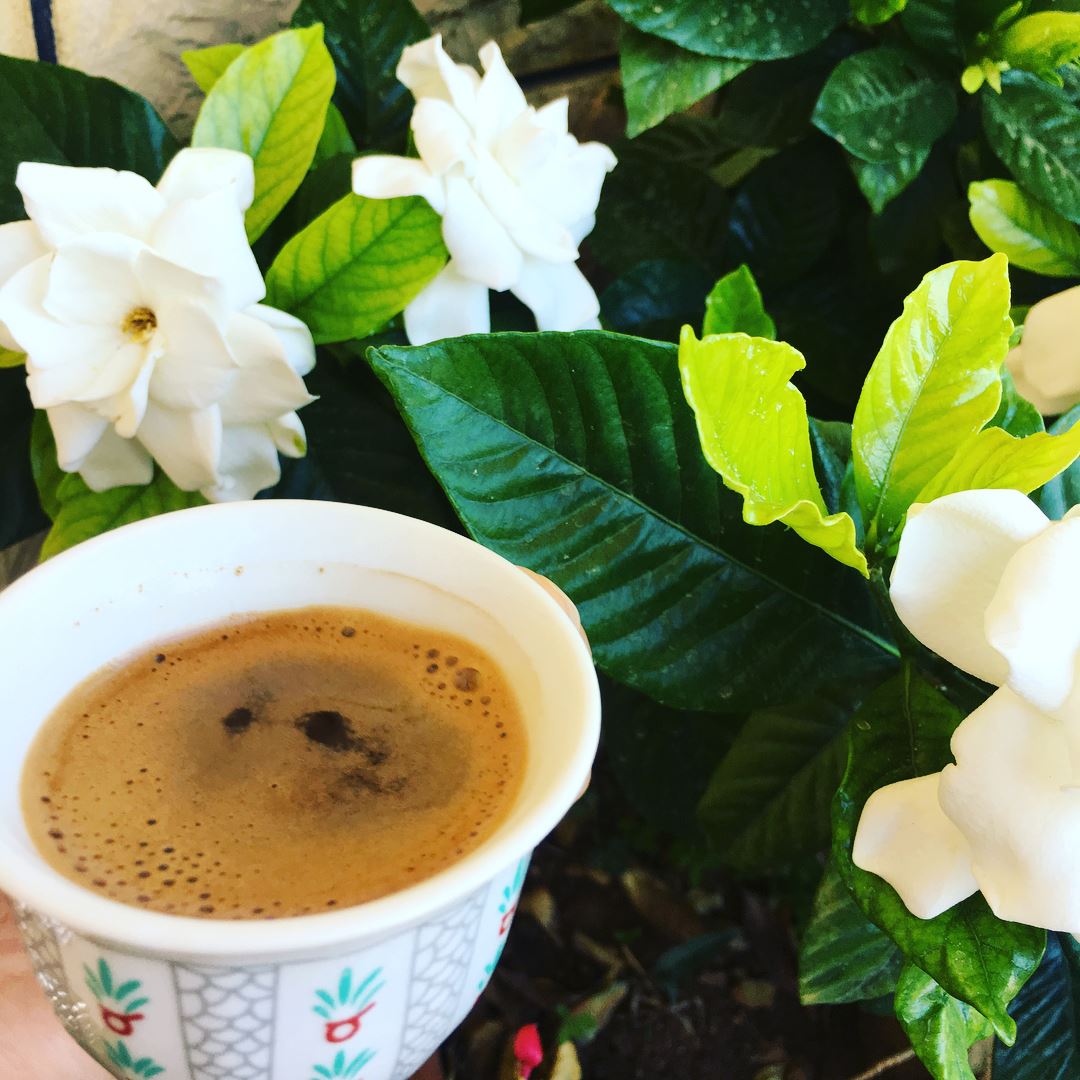 صباح السعاده ...لفنجان قهوه مملوء بالراحه ...التي ﻻتتغير لونها وﻻريحتها صب (Zahlé, Lebanon)