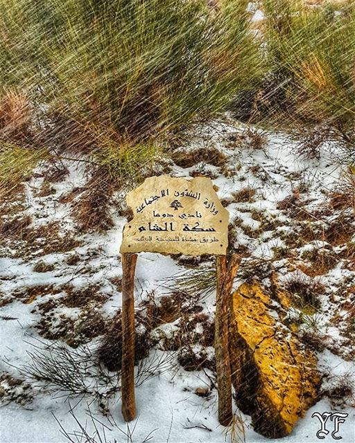 طريق الشام مقطوعة بسبب تراكم الثلوج ⛷😎🌨  livelovedouma  livelovelebanon ... (Feghre-douma)