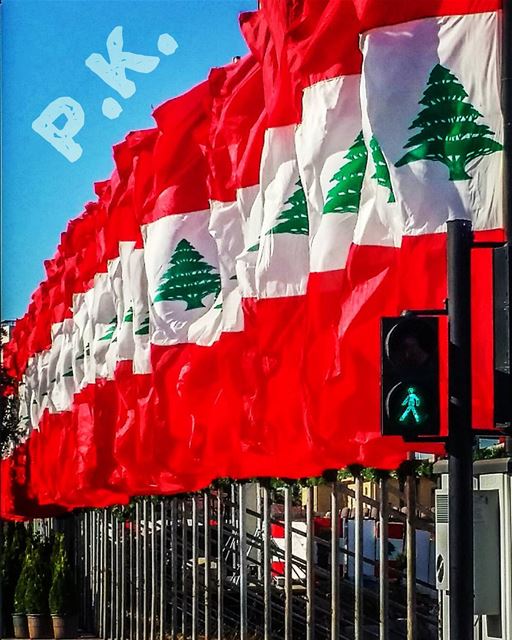  عيد  الاستقلال  لبنان  علم  happy  independence  day  lebanon  lebanese...