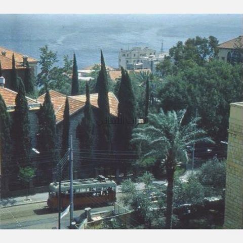 لترمواي في شارع بلس بالقرب من الجامعة الامريكية  بيروت عام ١٩٥٥ 