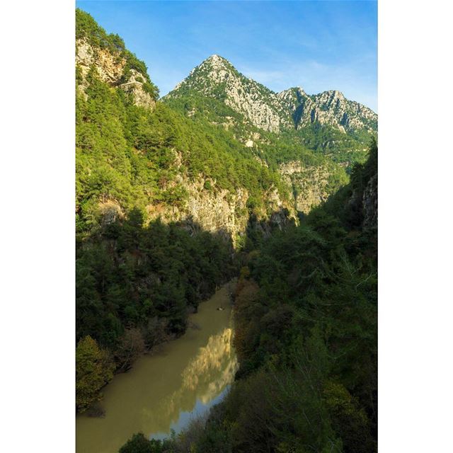 ليس بالسُكرِ و لكن فيهِ سُكرُ، ليسَ بالنهرِ ولكن فيهِ نهرُ.. •••... (Chouène, Mont-Liban, Lebanon)