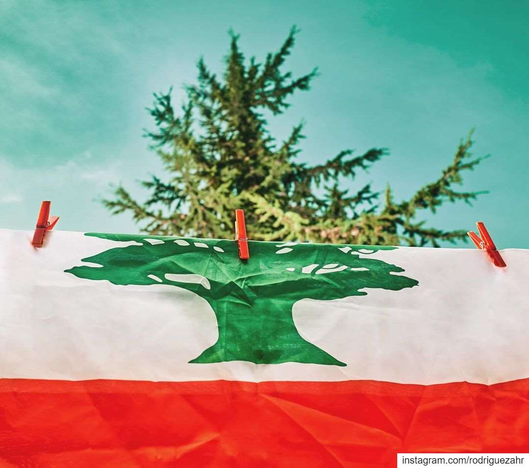 مجـدُهُ أرزُهُ رمزُهُ للخلود.How many generations of  Lebanese ...