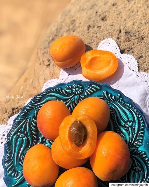  مشمش 🧡 freshapricot  yummy  deliciousfruits  lebanon  jnoubing ... (South Governorate)