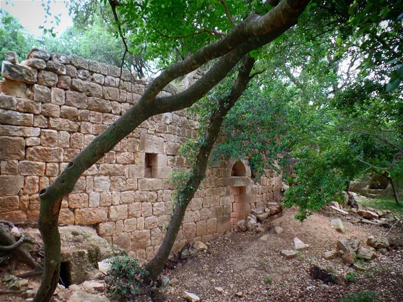 معبد القديسين سركيس وباخوس في بيت غريب: معبد يناهز الألف سنة، بني على قمة ت (`Akkar Al `Atiqah, Liban-Nord, Lebanon)