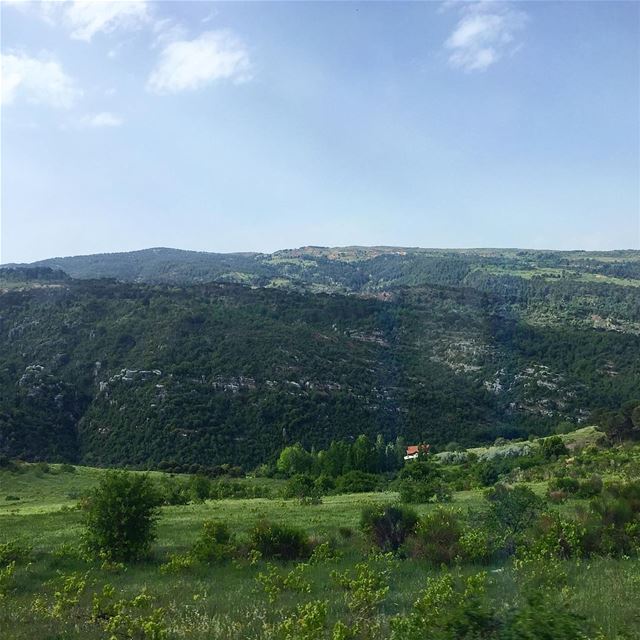 منظر شمالي..🌳——————— weekend  nature  green  trees  mountains  sky ... (North Governorate)