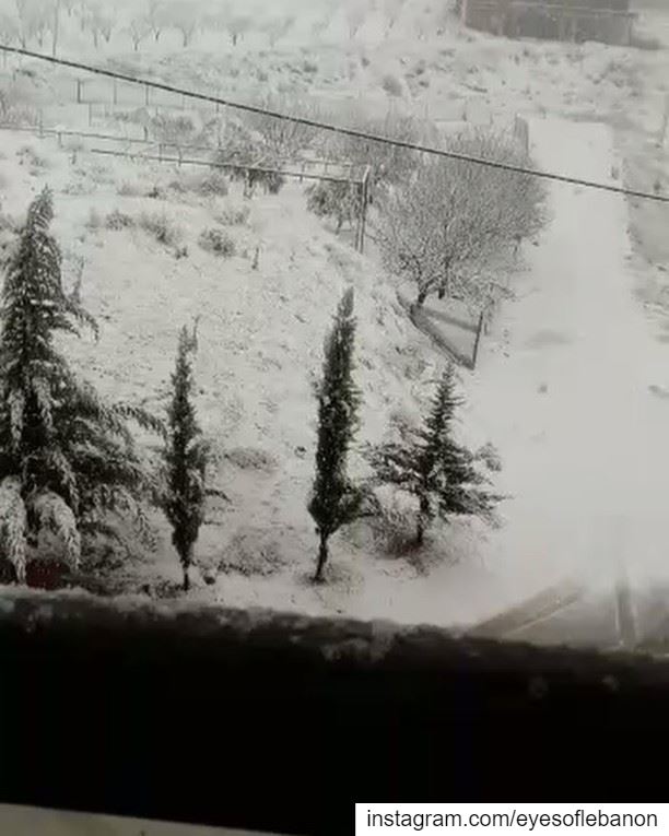 مُباشرةً من زحلة 🌲❄ والثلوج تتراكم 🌨Listen to the thundersnow 😍🔊... (Zahlé, Lebanon)
