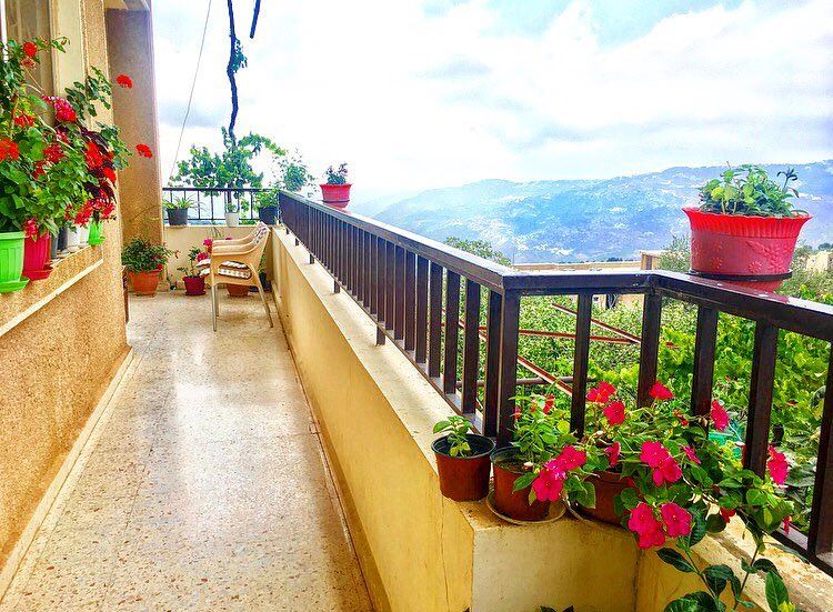وردات الدار 🌺🍀 August  balcony   flowers  plants  afternoon  lebanon ... (Mount Lebanon)