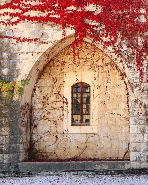 🍁.. ورق احمر window  castle  beiteddine  garden  autumn  winter  arcade ... (Beit El Deen Castle)