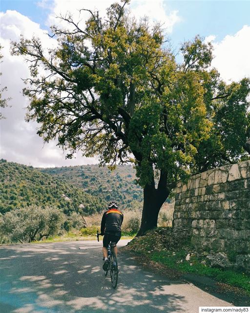 🚴‍♂️🌲...  cycling  instagood  webstapick  photooftheday ... (Mount Lebanon Governorate)