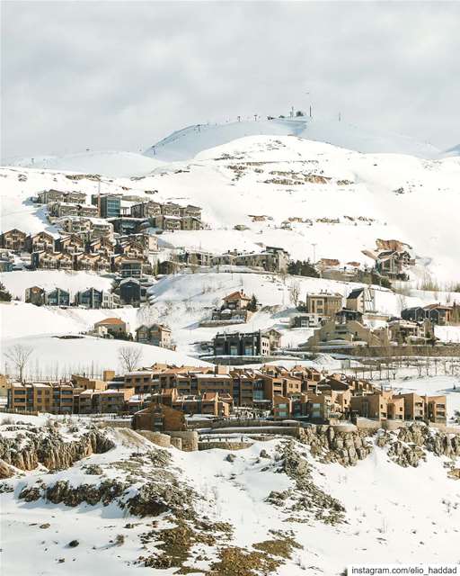 🏔️🇱🇧  Lebanon   Nature  Snow  Mountains  Green  Blue  White  Winter ... (Top Of Mzaar 2445M)