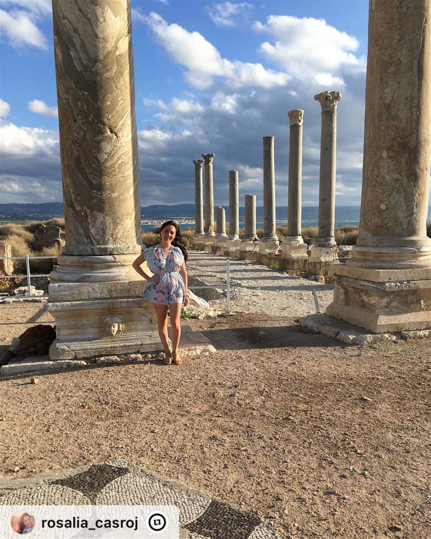 "❤️  majestic  ruins  tyre  lebanon  travel  solotravel  instagram ...