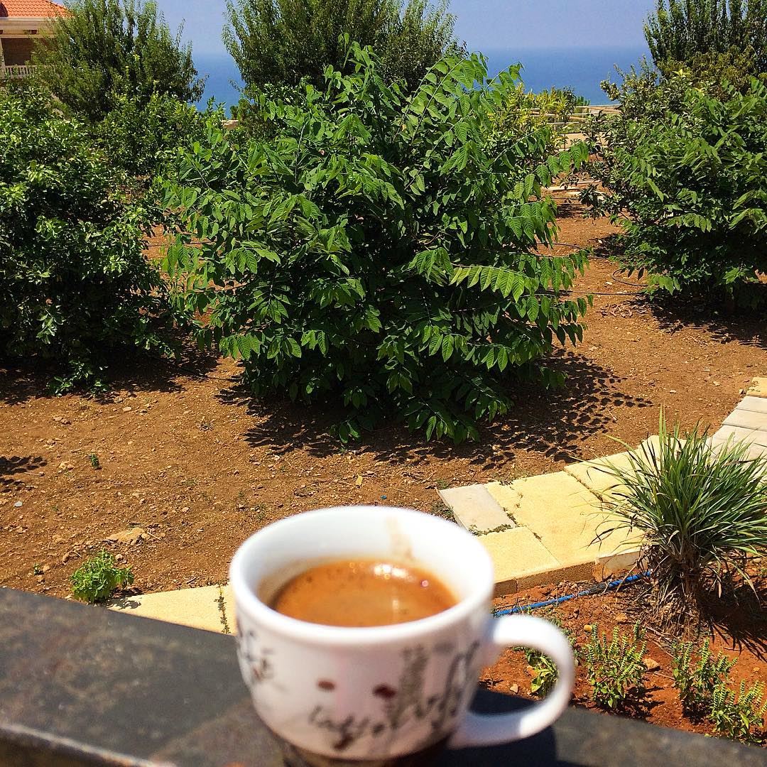 ☕️🌳 morningmotivation  coffeetime  lebanonspotlights  lebanontimes ...