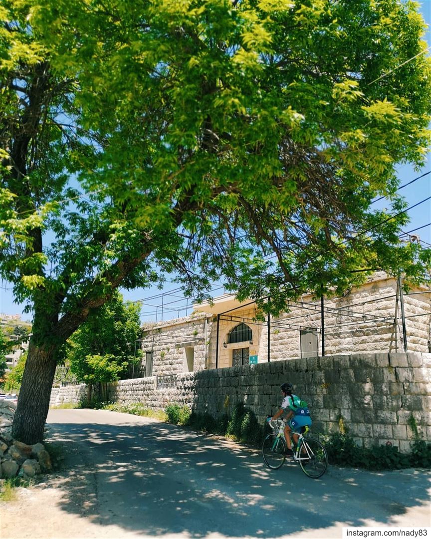 🚴‍♂️🌲🌄🚴‍♀️🌲...  cycling  instagood  webstapick  photooftheday ... (Maasser Ech Chouf, Béqaa, Lebanon)