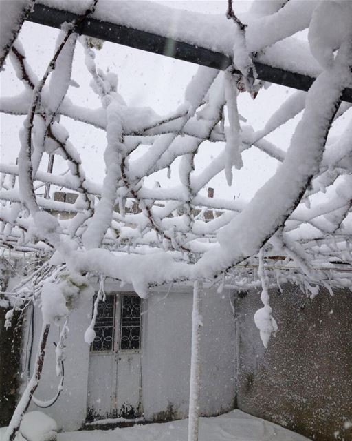 ⛄️❄️..... snow  storm  lebanon  southlebanon  livelovesouth ...