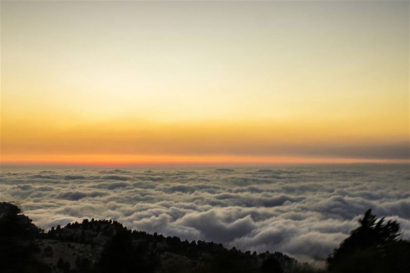 1400m high...☁🙌 (El Qammoûaa)