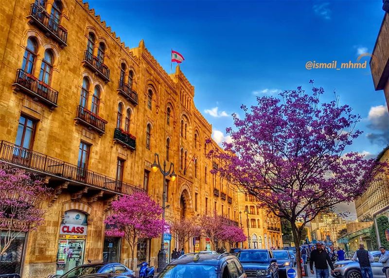 ~~☆☆ 📸1803251823 ☆☆~~ (Downtown, Centre Ville)