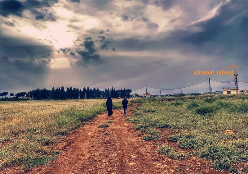 ~~☆☆ 📸1805061808 ☆☆~~ (Zawtar Ash Sharqiyah, Al Janub, Lebanon)