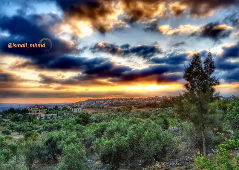 ~~☆☆ 📸1807011934 ☆☆~~ (Zawtar Ash Sharqiyah, Al Janub, Lebanon)