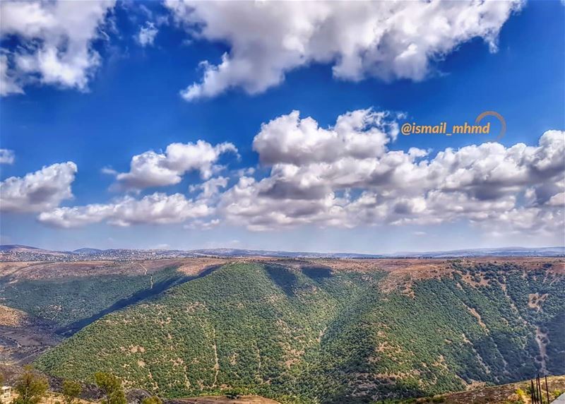 ~~☆☆ 📸1807291513 ☆☆~~ (Zawtar Ash Sharqiyah, Al Janub, Lebanon)