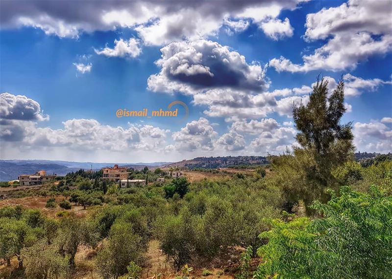 ~~☆☆ 📸1807291515 ☆☆~~ (Zawtar Ash Sharqiyah, Al Janub, Lebanon)