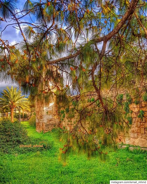 ~~☆☆ 📸1903101602 ☆☆~~ (Byblos - Jbeil)