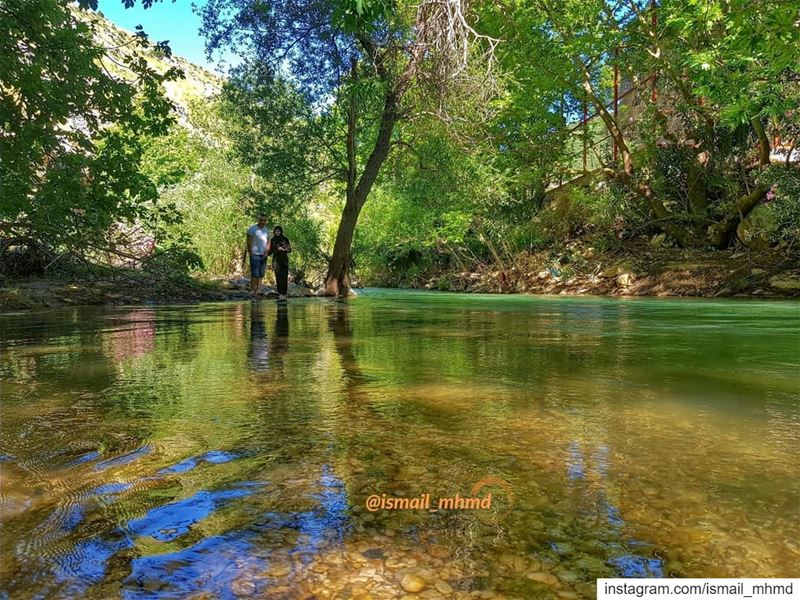 ~~☆☆ 📸1905191559-57-1647 ☆☆~~ (Zawtar Ash Sharqiyah, Al Janub, Lebanon)