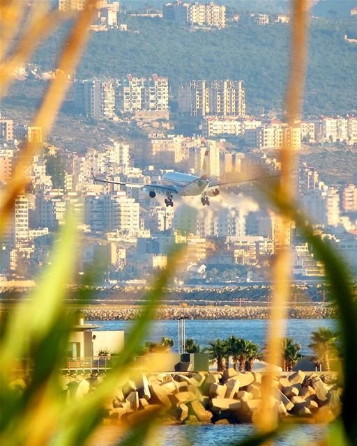 ... 20 seconds to touchdown ✈------.. Lebanon_HDR  Ливан  Бейрут ... (Beirut, Lebanon)