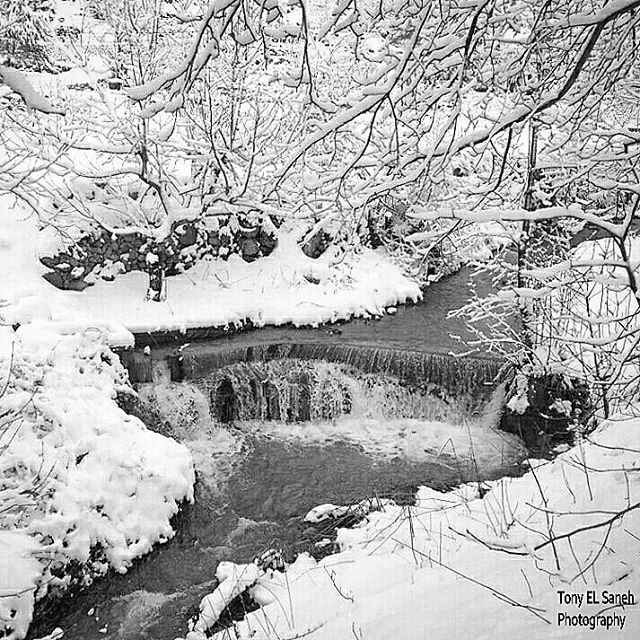  2015  loves_lebanon  ig_lebanon  iglebanon  ptk_sky  purelylebanon ... (Tannourine El Faouka)