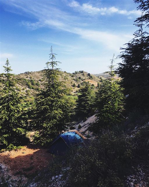 3 days surrounded by lebanese cedars and fresh air, mountains and blue sky, (Cedars Ground Campsite)