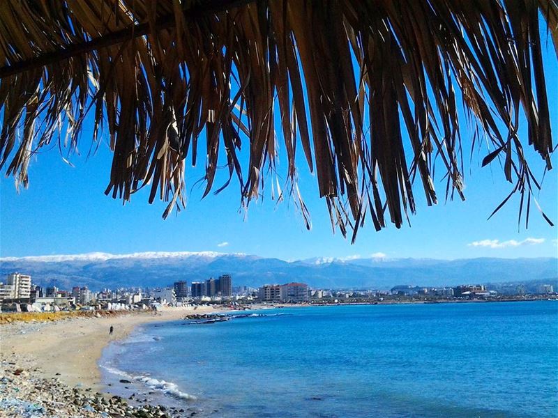 3 S in one Tripolitan picture:Sea, Snow & Sun....Live Love Tripoli طرابل