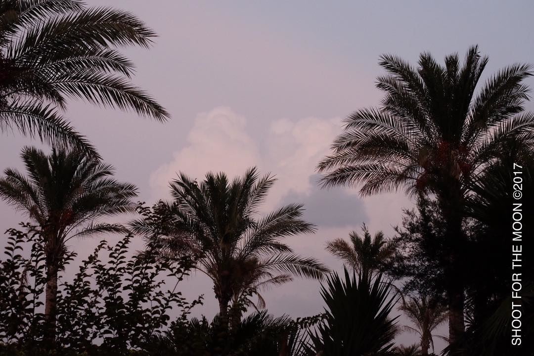 30min before the rain at  sunset  clouds  drawmeaheart  palmtrees ... (Beirut at Manara -zaituna bay)