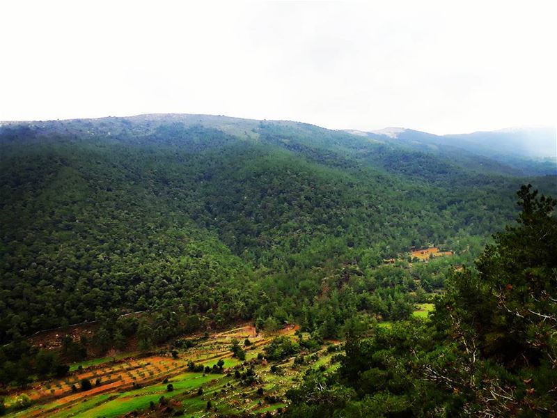  3oudin  valley  mountains  foggyweather  green  andaket  lebanontimes ... (3oudine-mar Elias)