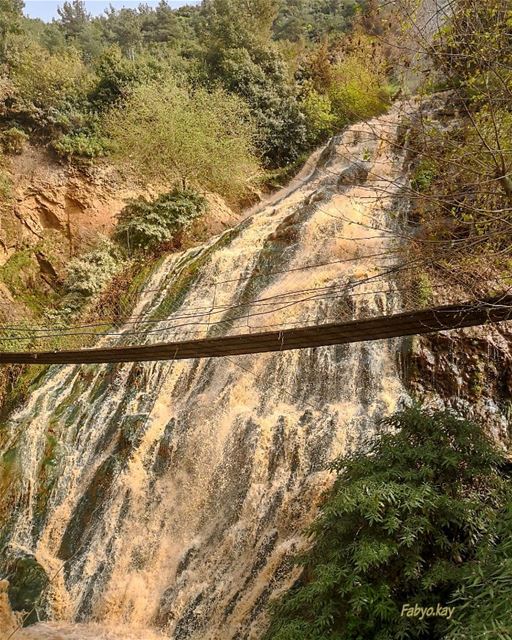 °°°3youn El samak 💦💦 Lebanon _________________________________________... (3youn el Samak)