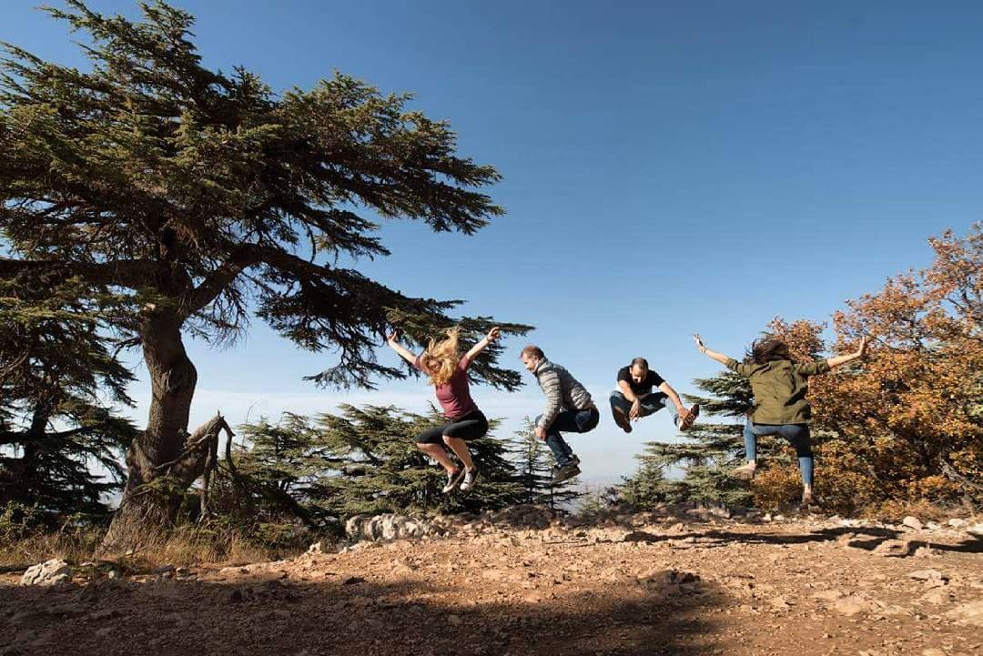 Happily Jumping (Barouk Cedar Forest)
