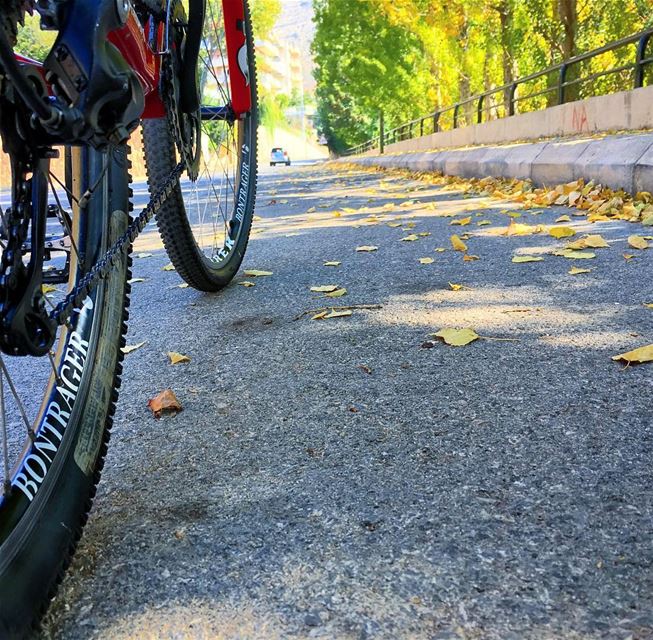 🚴🏼🍂🇱🇧