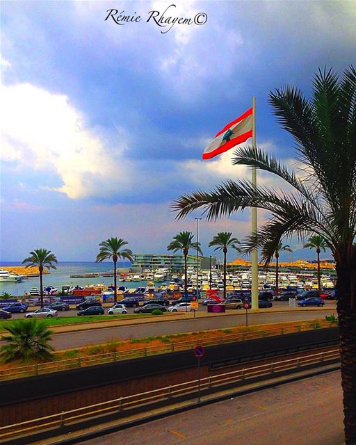 ~ 🇱🇧 🌲~