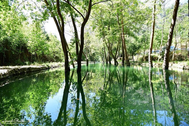 _____ livelovechouf  livelovechouf ...... beautifullebanon ...