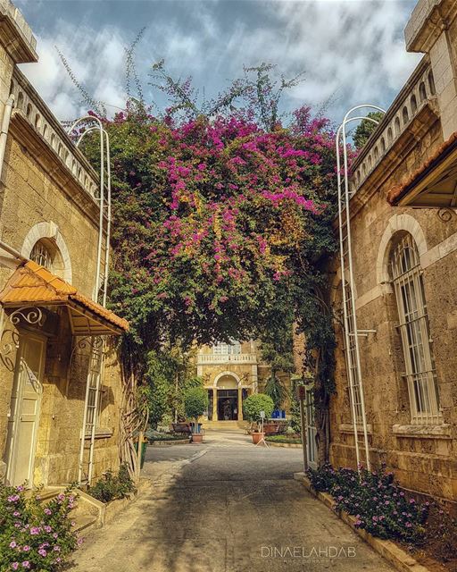 🌹🌸____________ 961lens  usjliban  architecture  archilovers ... (Université Saint-Joseph de Beyrouth - USJ)