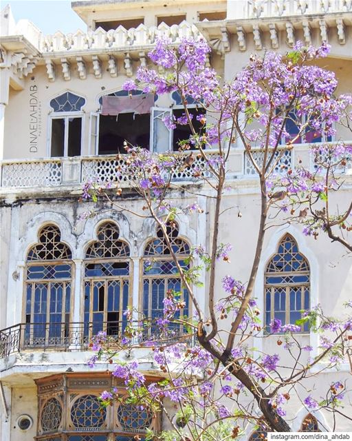 🌸___________________ lebanon  lebanon_hdr  sunlight  buildings ... (Tripoli, Lebanon)