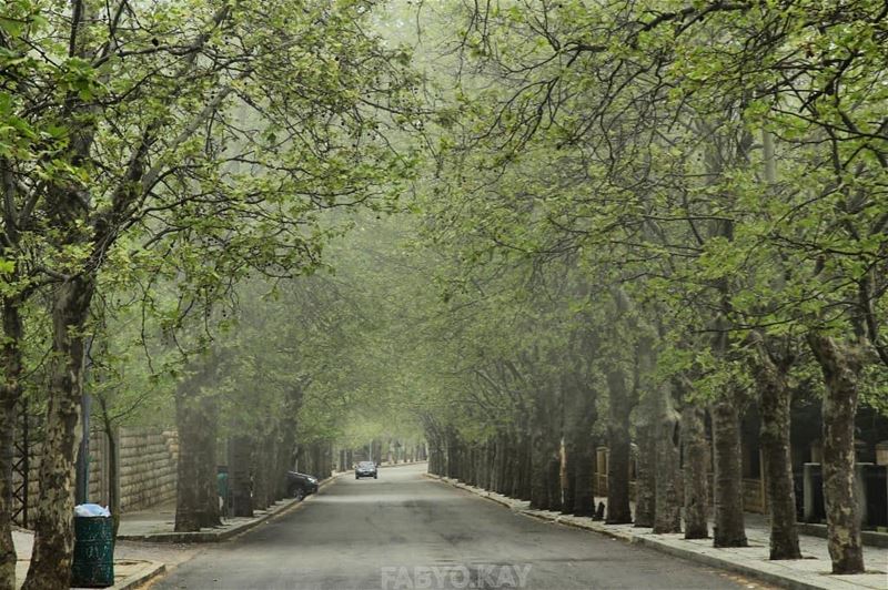 __________________________________ libanon sawfar morning monday nature... (Sawfar, Mont-Liban, Lebanon)