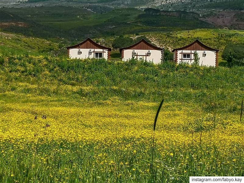 __________________________________▪️PHOTO Of THE DAY : 8 MAY 2019▪️LOCATI (El Qlaïaâ, Al Janub, Lebanon)